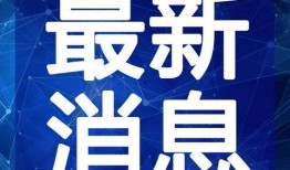 光明渔港爆料视频最新,揭秘海鲜市场惊人内幕