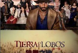 狼舞之地在线观看,探寻神秘狼族秘境的奇幻之旅