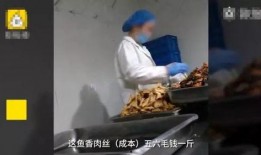 酱牛肉加工车间爆料视频,揭秘传统工艺与现代技术的碰撞