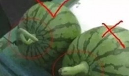 网红吃瓜名字大全搞笑,盘点那些搞笑又好听的昵称大盘点