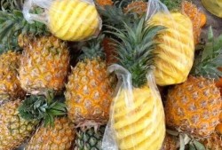 菠萝最新爆料网站,揭秘娱乐圈幕后真相