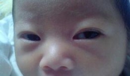 宝宝爆料丑照视频素材下载,揭秘萌娃搞笑瞬间