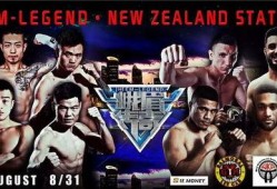 新西兰战队爆料视频,揭秘赛场幕后真相