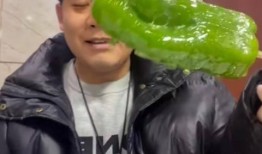 吴川网红吃瓜事件视频,一场网络热议的瓜田奇谈