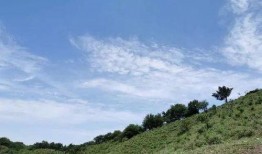 爆料乡村风景视频,揭秘我国乡村自然风光