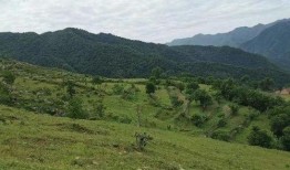 爆料乡村风景视频,揭秘我国乡村自然风光