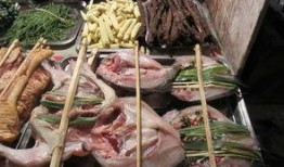 美食烧烤爆料视频播放,揭秘街头烧烤的独特魅力