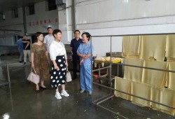 淮南八公山爆料案件最新,揭秘背后惊人真相