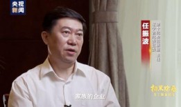 刘老大爆料新视频大全,揭秘娱乐圈不为人知的一面